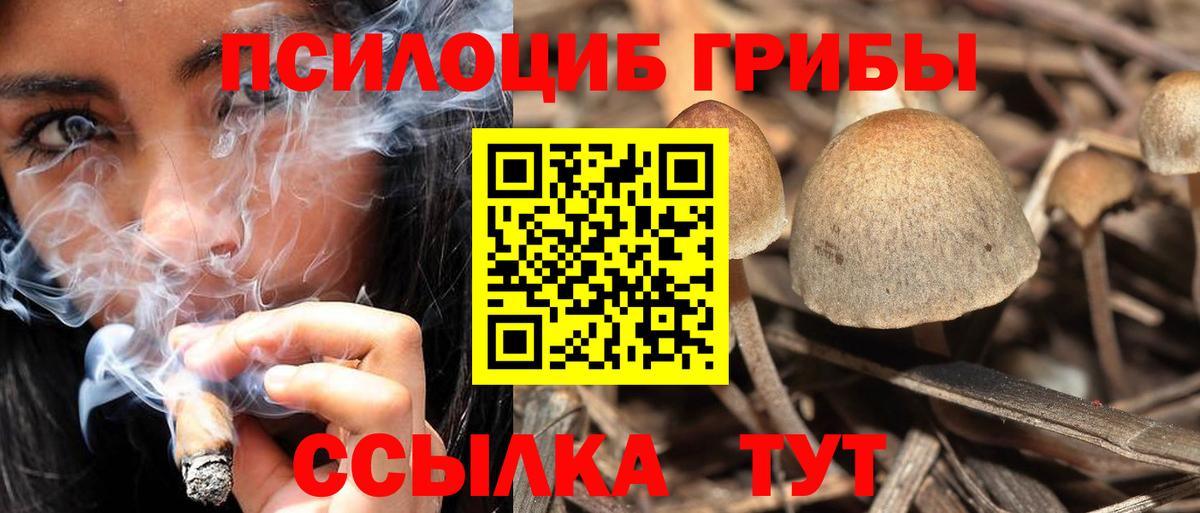 Кудымкар  Галлюциногенные грибы мухоморы  Галлюциногенные грибы MAGIC MUSHROOMS  Вход с VPN 