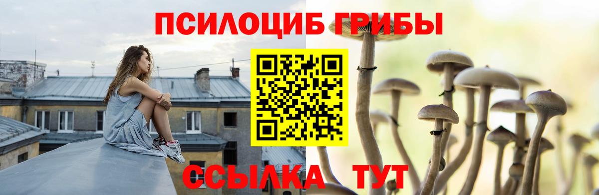 Псилоцибиновые грибы мухоморы Кудымкар